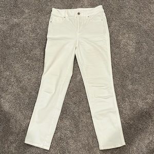 WHBM Straight Jean